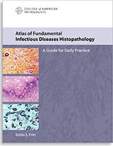 Atlas of Fundamental Infectious Diseases Histopathology