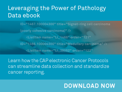 Cancer Protocol Templates College of American Pathologists Cancer Protocol Templates College of American Pathologists